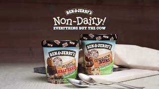 Two New NonDairy Flavors  Ben amp Jerrys [upl. by Elacsap]