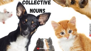 Collective Nouns  List of Collective Nouns 50 Examples of Collective Nouns englishvocabulary [upl. by Bunker366]