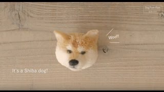 How to make Shiba dog pompom English sub [upl. by Akienahs]