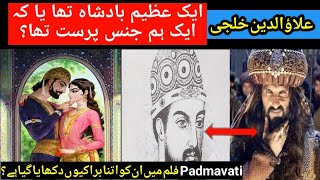 The Life and Legacy of Alauddin Khilji  A Historical Overview  Urdu  Hindi [upl. by Yenttihw497]