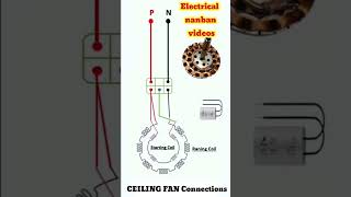 Fan connection Electrical videos useful videos [upl. by Bertrand]