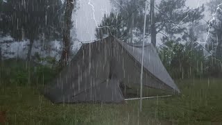 SOLO TARP CAMPING IN HEAVY RAIN COMPILATION  ASMR CAMPING VIDEOS [upl. by Eenehs]