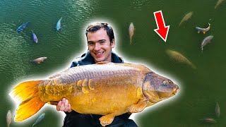 Fishing At My Dream Lake  Carl vs Alex Ep1 S2 [upl. by Rosemonde]