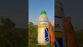 Syngenta Isabion Tonic Plant Growth Regulator youtubeshorts shorts reels farming agriculture [upl. by Ellenet]