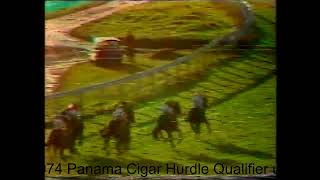 1974 Panama Cigar Novice Hurdle Newcastle [upl. by Irama]