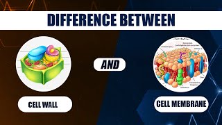 CELL WALL vs CELL MEMBRANE All You NEED to KNOW [upl. by Asiruam]