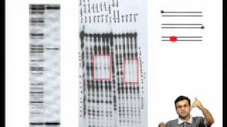 Mod01 Lec04 Proximal amp Distal Promoter ElementsEnhancers and Silencers Genespecific Regulators [upl. by Naras]