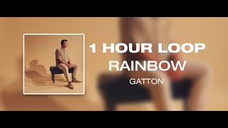 rainbow Gatton 1 hour loop short version [upl. by Palla]