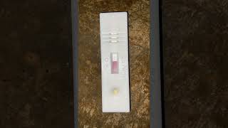 pregnacytest pregnancytest kit baby motivation result positive [upl. by Anaile509]