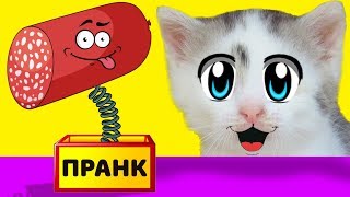 ЛЕТНИЕ ПРАНКИ НАД КОТАМИ НОВЫЕ ПРИКОЛЫ для пары КОТ и КОШЕЧКА 3 смешных пранков над друзьями [upl. by Arjun]