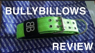 Bully Billow Collar Review [upl. by Tonneson]