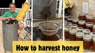 Beekeeping 101 HOW TO HARVEST HONEY  Every step explained for beginner beekeepers [upl. by Fransis604]