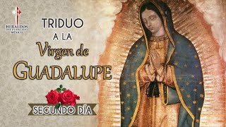 🌹Poderosa Devoción Triduo a la Virgen de Guadalupe Segundo día Heraldos del Evangelio 🌹🙏🏻 [upl. by Hazrit881]