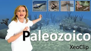 Historia da Terra Paleozoico  XeoClip [upl. by Cavallaro]