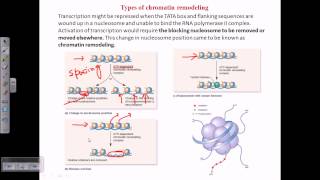 Types of chromatin remodeling [upl. by Elayne]