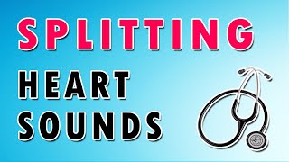 Split of Heart Sounds [upl. by Aihtnis]