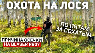 Почему произошла ОСЕЧКА НА Blaser R93  Охота на Лося 🫎 Напала на след сохатого [upl. by Yelssew]