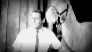 MISTER ED the talking horse singing about empty sex blues [upl. by Azaleah]