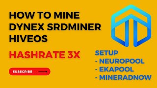 How to Mine Srdminer Dynex Hiveos  Srbminer Setup  Srbminer [upl. by Ranite927]