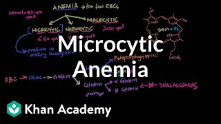 Microcytic anemia  Hematologic System Diseases  NCLEXRN  Khan Academy [upl. by Aicert]