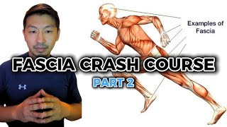 Introduction to Fascia Training Crash Course Part 2 of 4  Hyperarch Fascia Training [upl. by Flower]