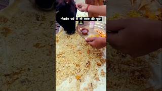 गोवर्धन पर्व में गौ माता की पूजा 🙏 vlog food chhattisgarh shorts diwali culture [upl. by Wilfreda]