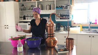 Distilling Coriander in a Copper Alembic [upl. by Westberg372]