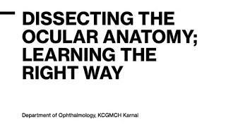 Dissecting the Ocular Anatomy  A Comprehensive Guide by Eye Surgeon ocular ophthalmology [upl. by Kinchen353]