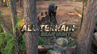 Bear Hunting  All Terrain Bear Hunts  Manitoba Canada [upl. by Schober76]