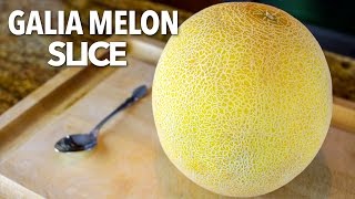 How to Cut a Galia Melon [upl. by Goodard]