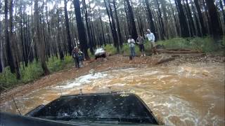 Toolangi 4wd Not much help track [upl. by Daph]