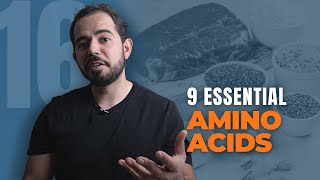 EP 16 Essential Amino Acids Definition Benefits and Foods [upl. by Secnarf386]