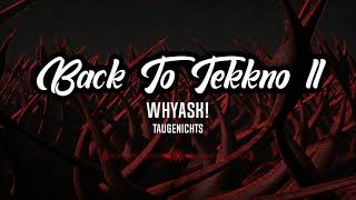 WhyAsk  Taugenichts Back To Tekkno 2 [upl. by Enomed766]