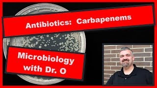 Carbapenem Antibiotics and CRE Microbiology [upl. by Ignatz]