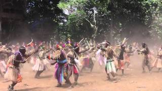 Toka dance  Tanna  Vanuatu [upl. by Kettie]