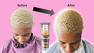 How to warm up platinum blonde hair Wella color fresh golden gloss [upl. by Trixi]