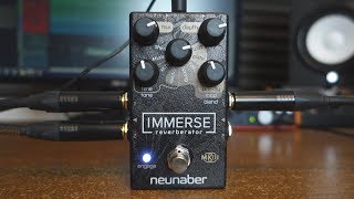 Neunaber Immerse Mk II demo no talking only amazing ambient sounds [upl. by Rotsen]