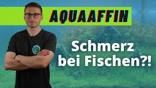 Können Fische Schmerzen spüren  AquaAffin 55 [upl. by Birdt]