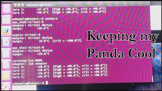 LattePanda Cooling Demo using my two fan solution and Linux [upl. by Rasia]