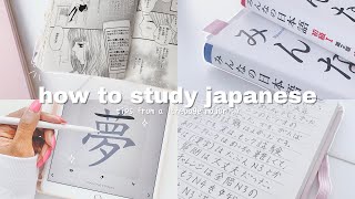 how i study japanese tips from an actual language major  THE ULTIMATE GUIDE [upl. by Gulick]