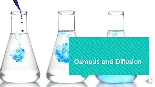 Osmosis and Diffusion [upl. by Aratal718]