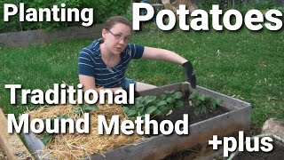 How to Plant Potatoes Using Traditional Mound Method with a little bit EXTRA [upl. by Pennie]