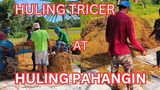 HULING TRICER AT HULING PAHANGIN NG PALAY MANOMANO NG TAO BUHAY SA BUKID PHILIPPINE PROVINCE LIFE [upl. by Leamse663]