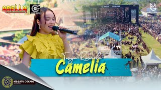 TASYA ROSMALA  CAMELIA LIVE ADELLA X CUMI CUMI AUDIO  LIVE PEMUDA PCB [upl. by Ztirf]