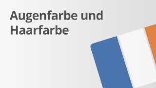 Neue Vokabeln Haar und Augenfarbe  Französisch  Wortschatz und Konversation [upl. by Luigino]