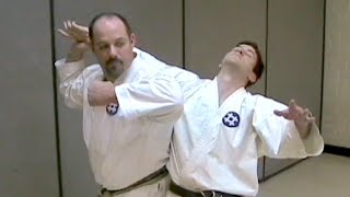 One Minute Bunkai Seisan Bunkai Series Part 3 [upl. by Ahsem423]