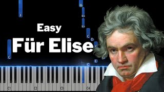 EASY Piano Tutorial  Für Elise  Beethoven [upl. by Ahsimed953]