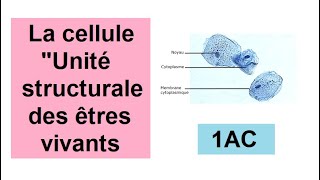 La cellule unité structurale des êtres vivants الخلية وحدة تركيبية للكائنات الحية [upl. by Sirrad27]