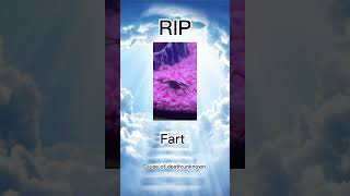 His name was so iconic💔 frog fart Rip dontflop youtubeshorts relatable trend subscribe [upl. by Niwred]