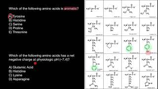 Aromatic Amino Acids mnemonics [upl. by Ahsekam]